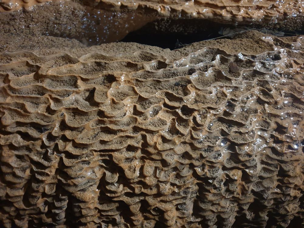 Sassafras cave Sassafras cave