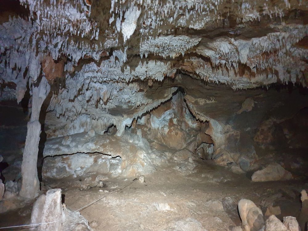 Sassafras cave Sassafras cave