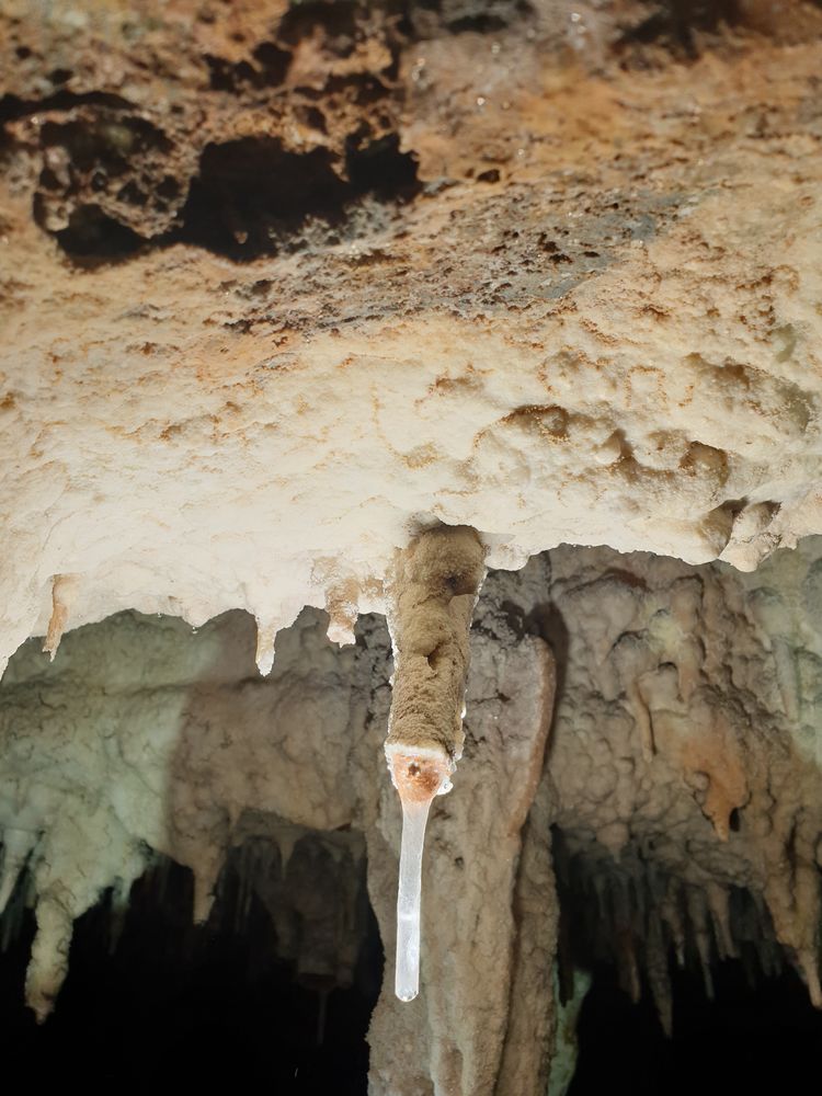 Sassafras cave Sassafras cave