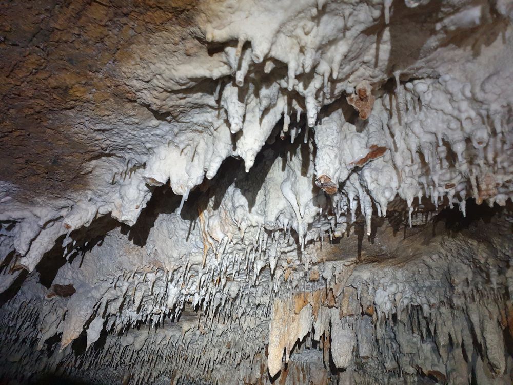 Sassafras cave Sassafras cave