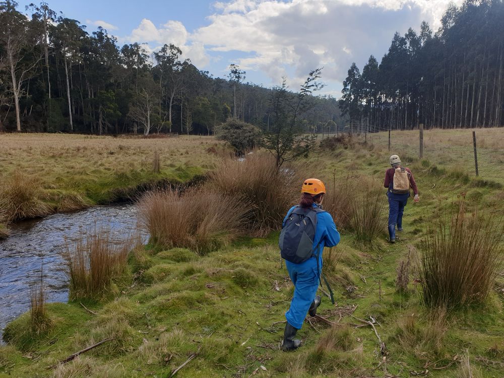 Sassafras cave Sassafras cave