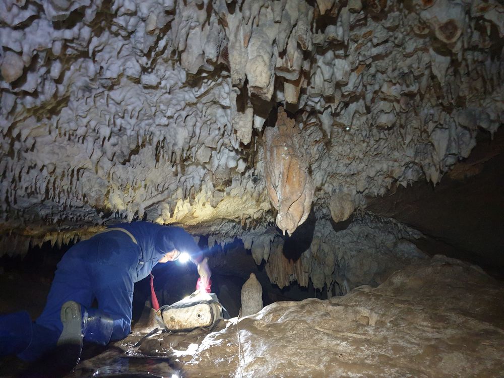 Sassafras cave Sassafras cave