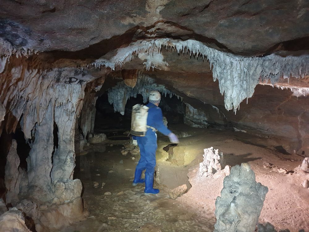 Sassafras cave Sassafras cave