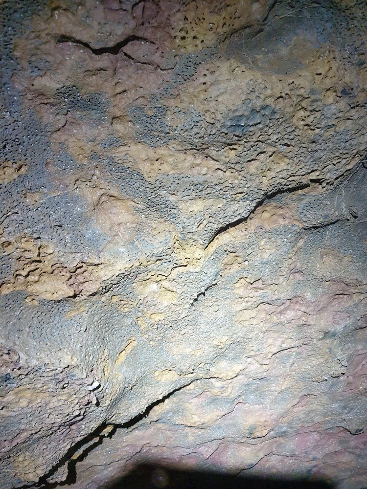 Sassafras cave Sassafras cave