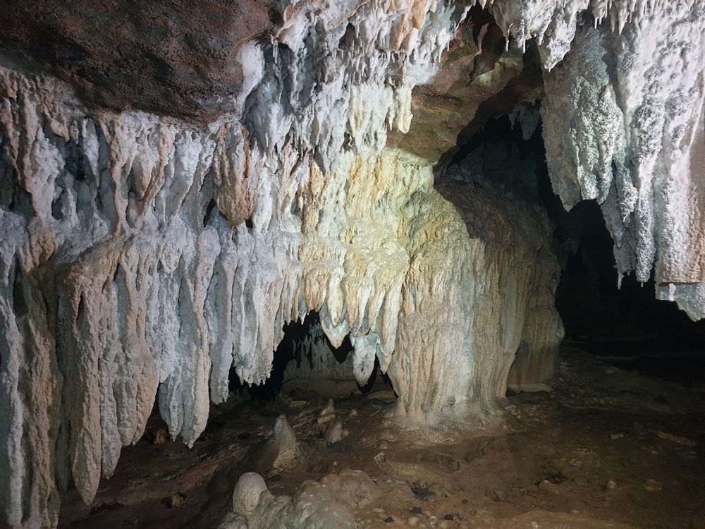 Sassafras cave Sassafras cave