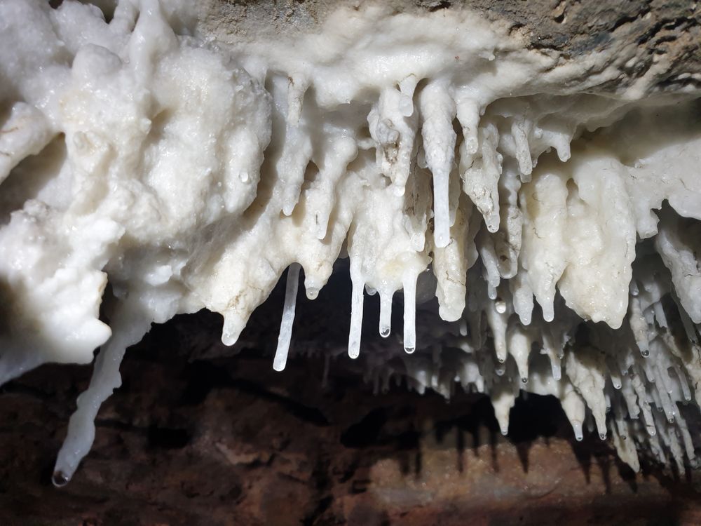 Sassafras cave Sassafras cave