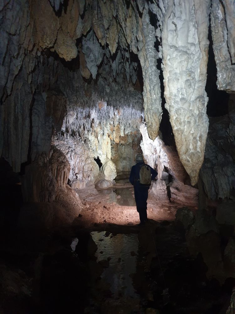 Sassafras cave Sassafras cave