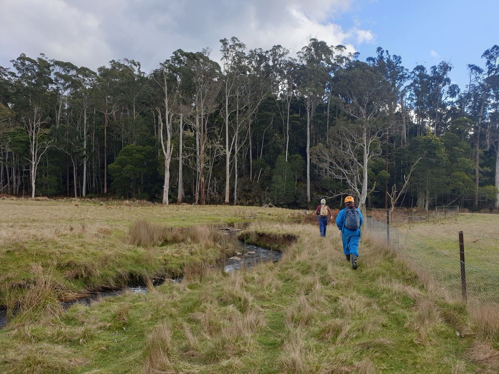 Sassafras cave Sassafras cave