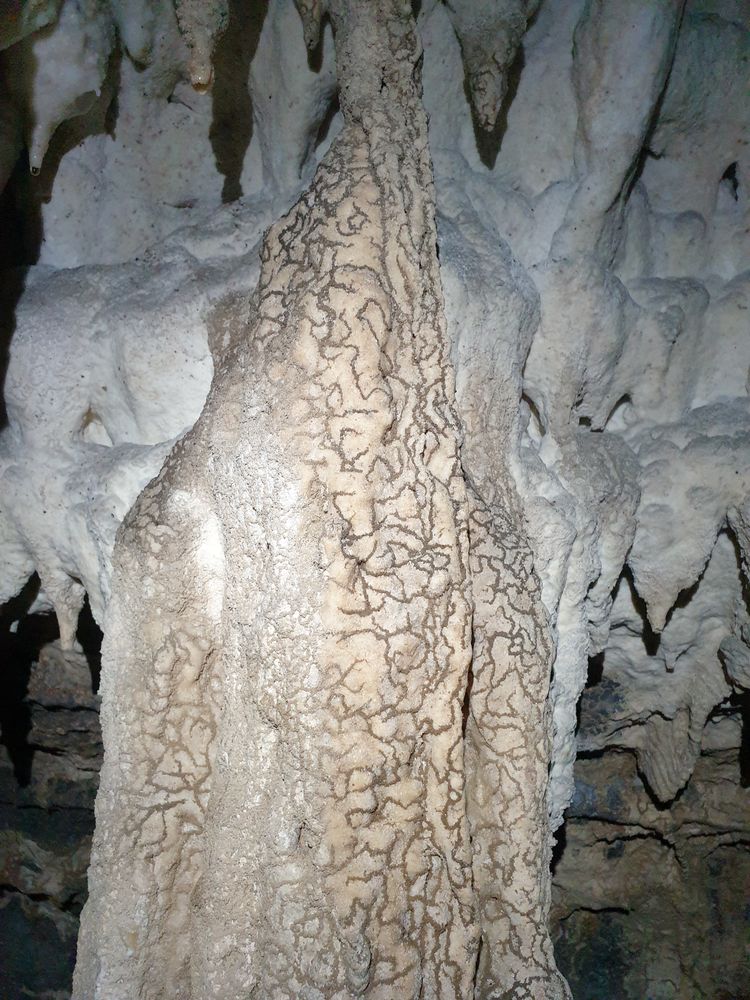 Sassafras cave Sassafras cave