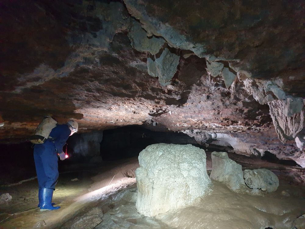 Sassafras cave Sassafras cave