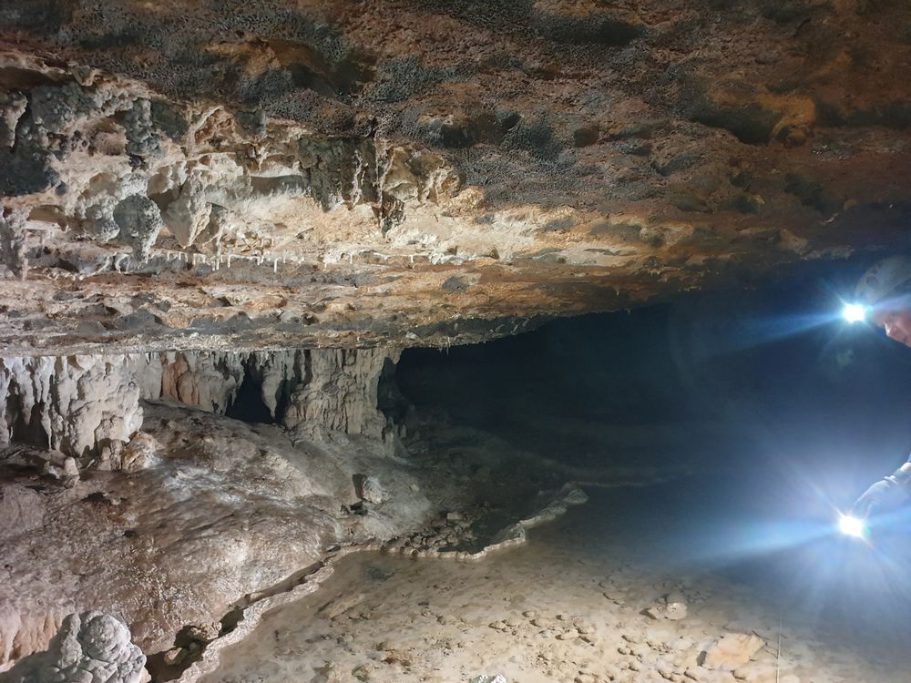 Sassafras cave Sassafras cave