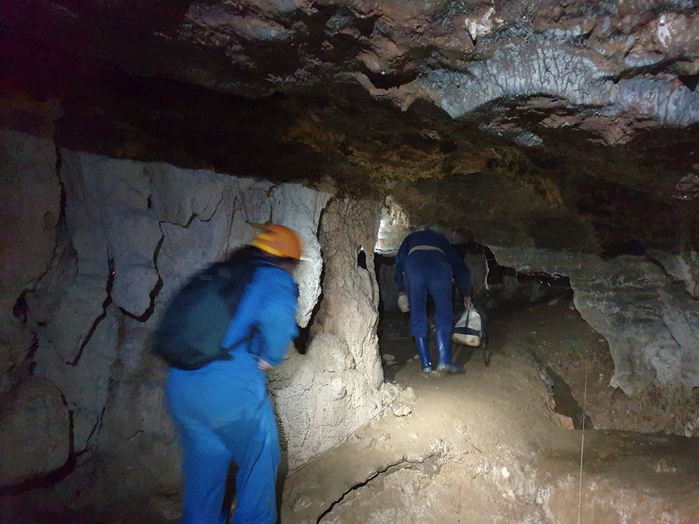 Sassafras cave Sassafras cave