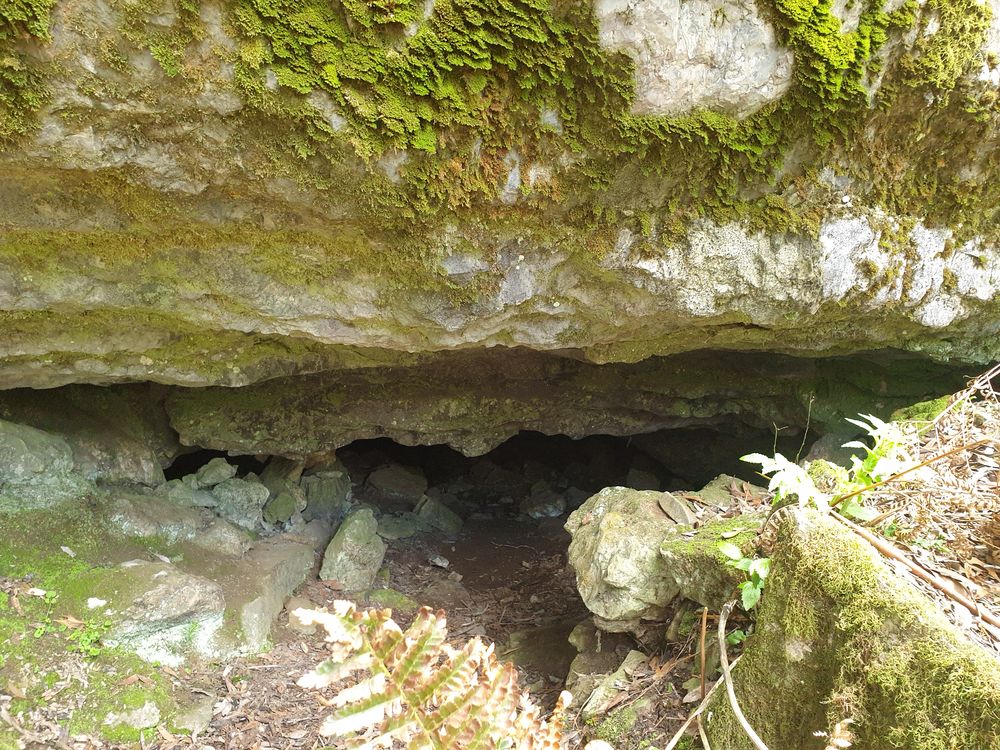 Sassafras cave Sassafras cave