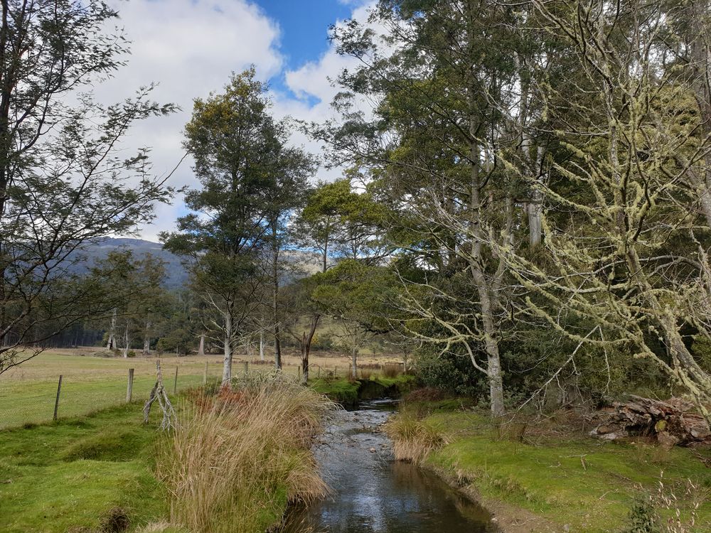 Sassafras cave Sassafras cave