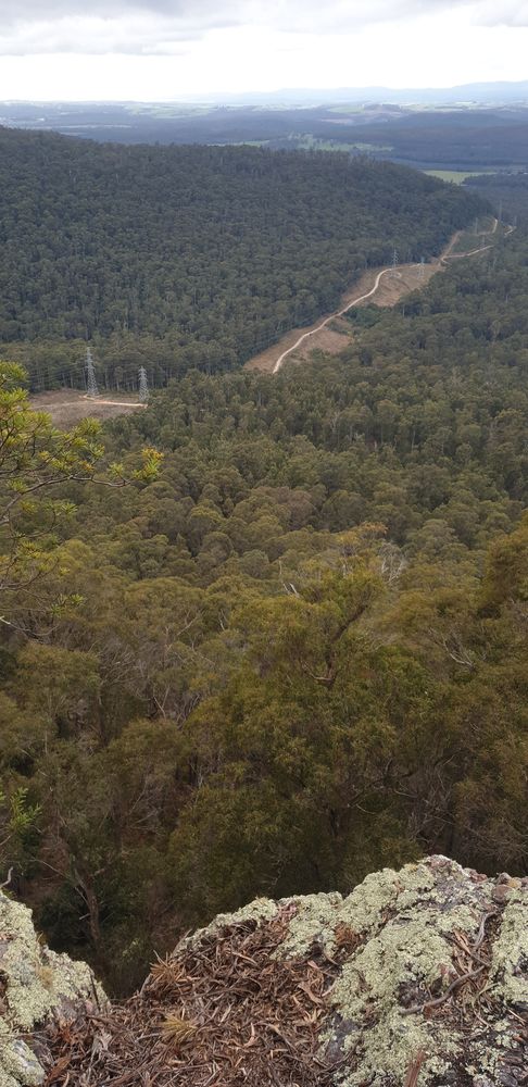 Looking east towards the road between Railton and Latrobe, far in the distance what I think is the Asbestos Range. Tooking east towards the road between Railton and Latrobe, far in the distance what I think is the Asbestos Range.