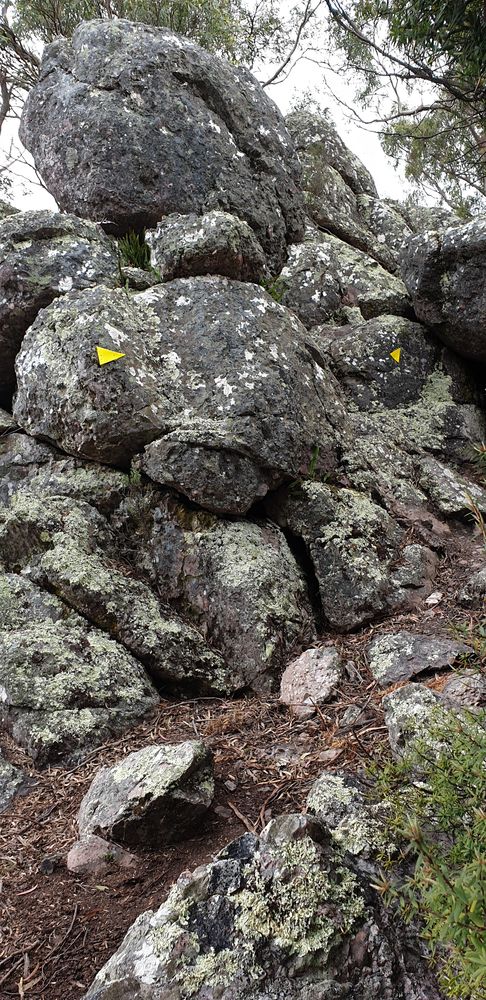 Boulder troll. TBoulder troll.