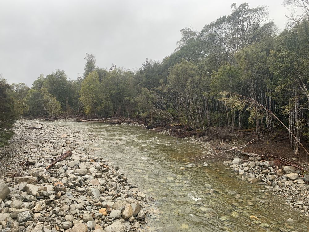Meander River Meander River
