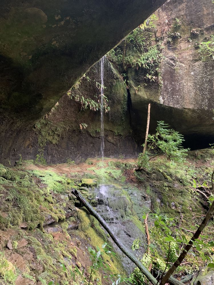 The first waterfall you get to, although I don't know the name The first waterfall you get to, although I don't know the name