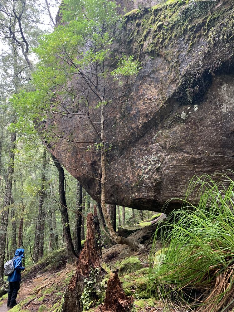 The start of the mammoth boulders The start of the mammoth boulders