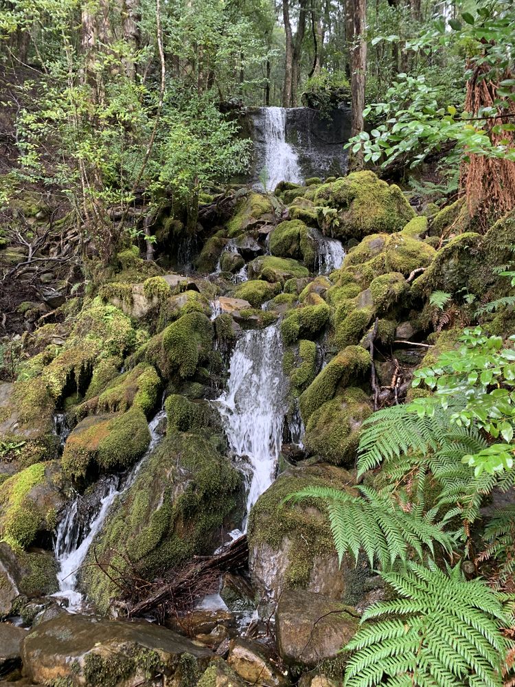 Prelude to the falls Prelude to the falls