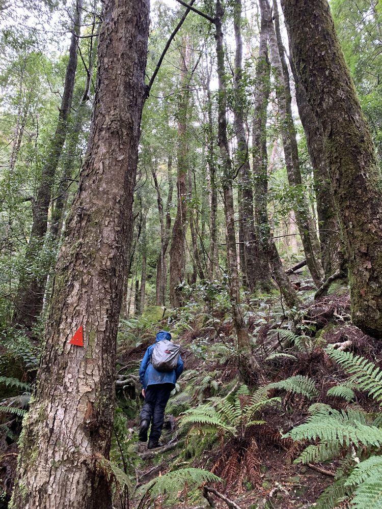 Up we go to Split Rock falls Up we go to Split Rock falls