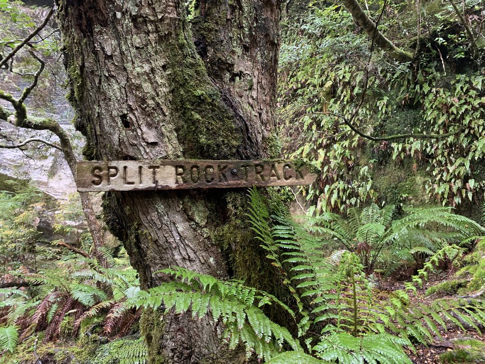 Track marker Track marker