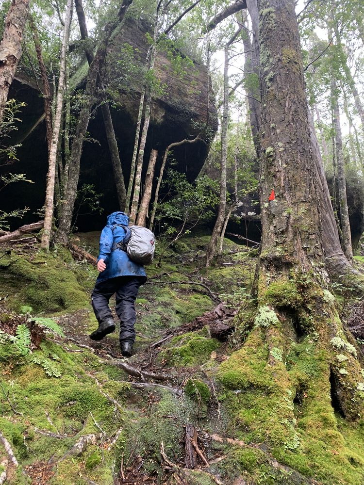 Continue up to the boulders Continue up to the boulders