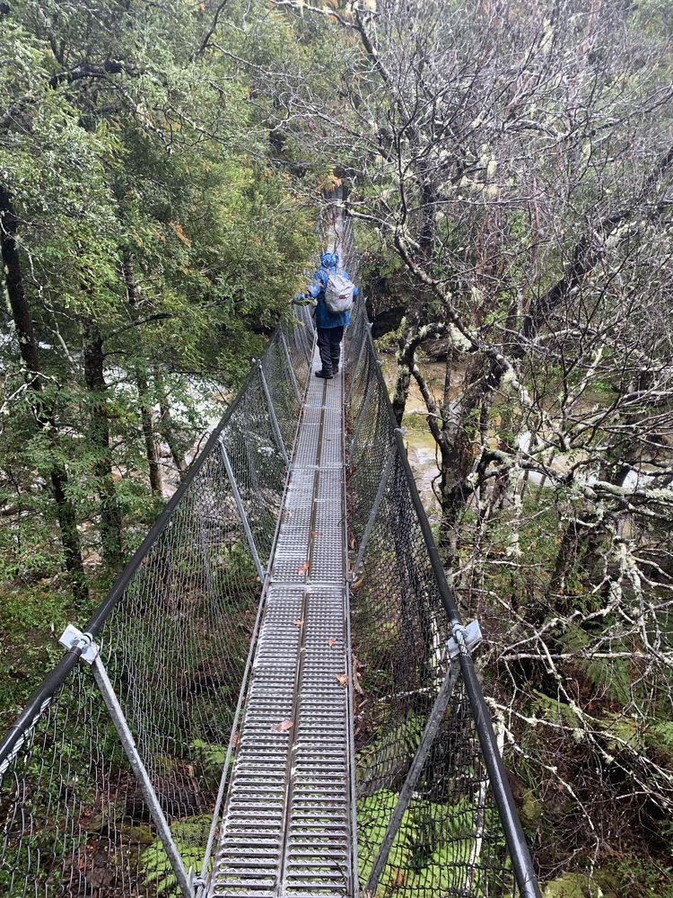 Suspension bridge Suspension bridge