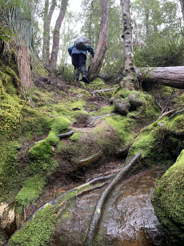Up and over the boulder overhangs Up and over the boulder overhangs