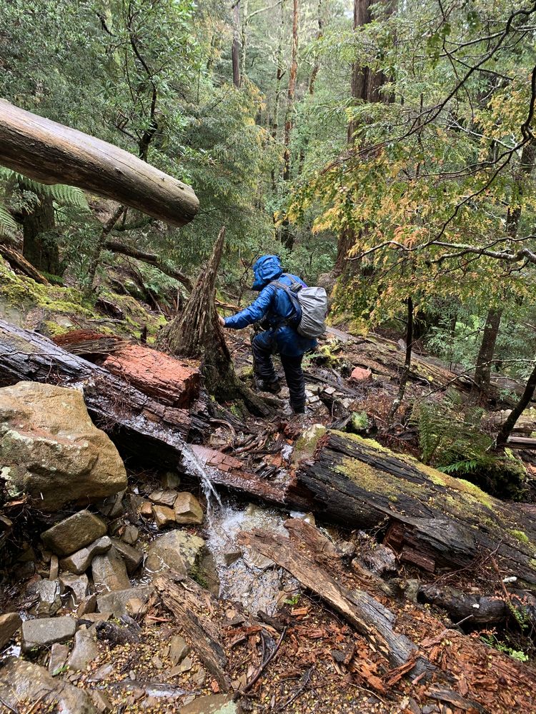 Making our way down to Split Rock to finish the circuit Making our way down to Split Rock to finish the circuit