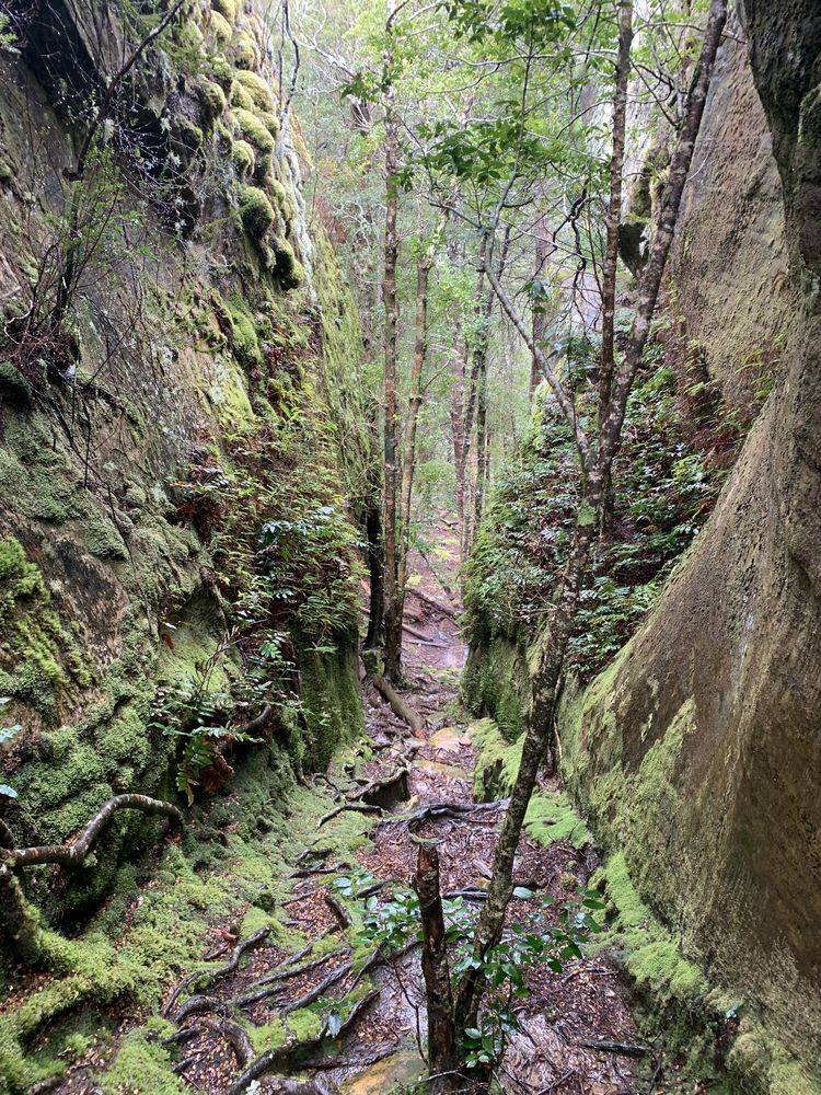 Split Rock Split Rock