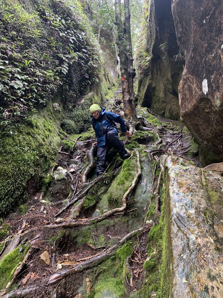 Precipitous descent Precipitous descent