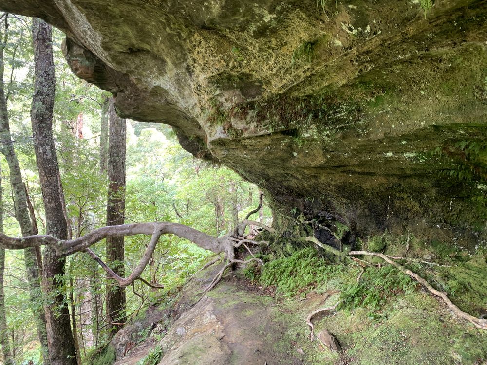 Interesting attachment Interesting attachment