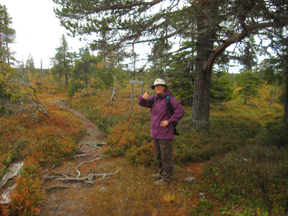 Hildegunn, who will be feeding me during the entire race, thinks the trail is doable ;)