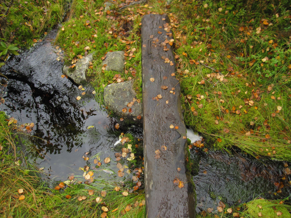 The first of many swamp crossings, the board can become very slippery during snowfall and frost