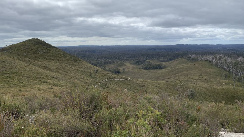 The first milkshake hill. The first milkshake hill.