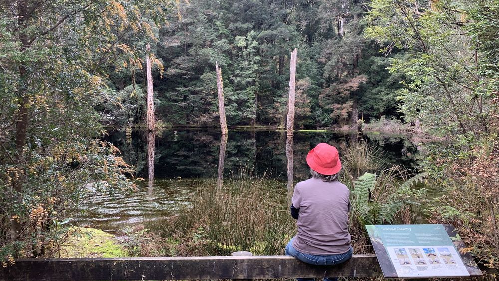 Sinkhole meditation. Sinkhole meditation.