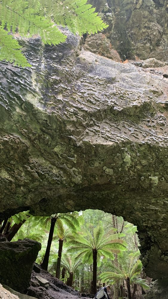 The arch above. The arch above.