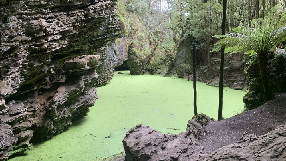 The sinkhole. The sinkhole.