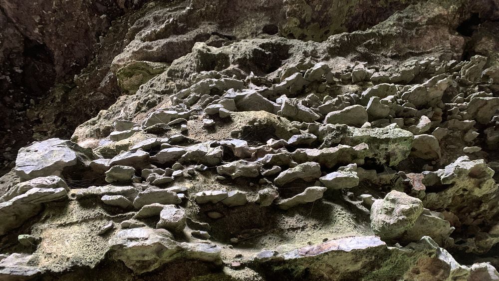 Close up of the limestone. Close up of the limestone.