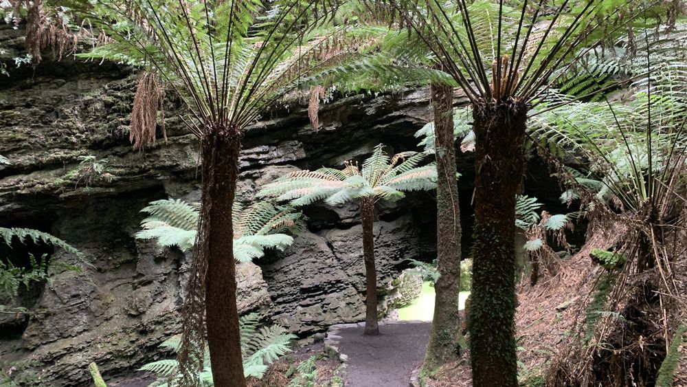 The track to the arch and sinkhole. The track to the arch and sinkhole.