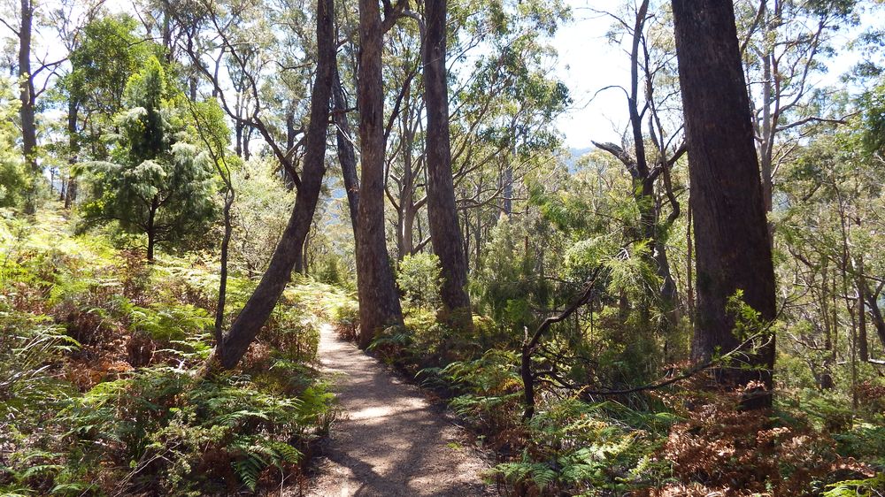 Pathway along the ridge