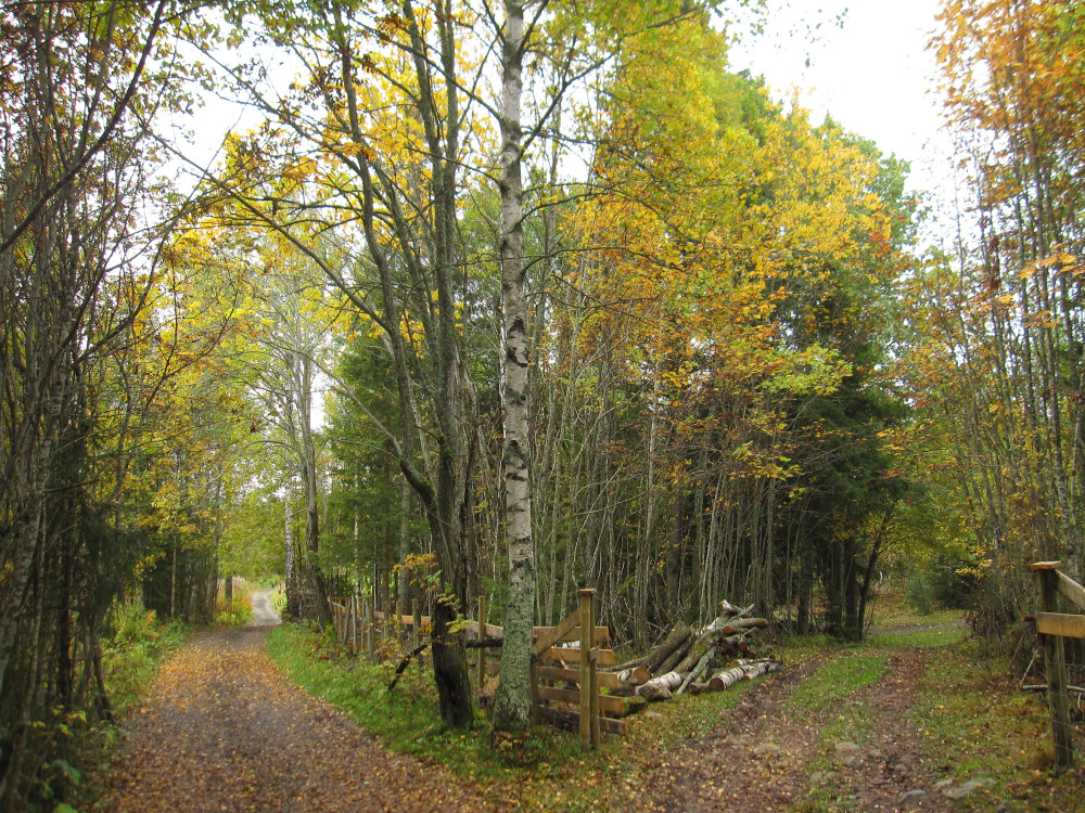 Choosing the path to Gjøvik