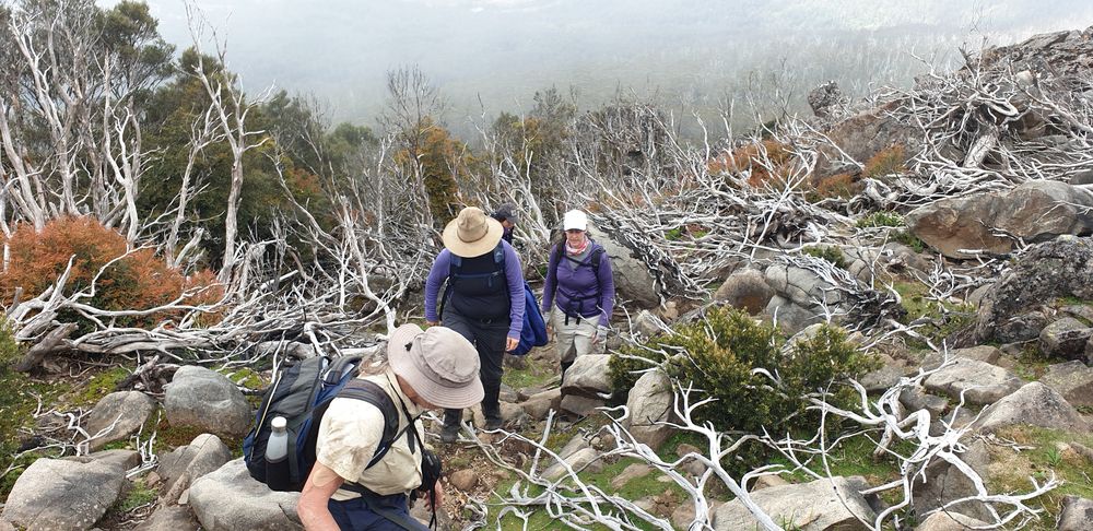 Navigating the scree to the top of the plateau Navigating the scree to the top of the plateau