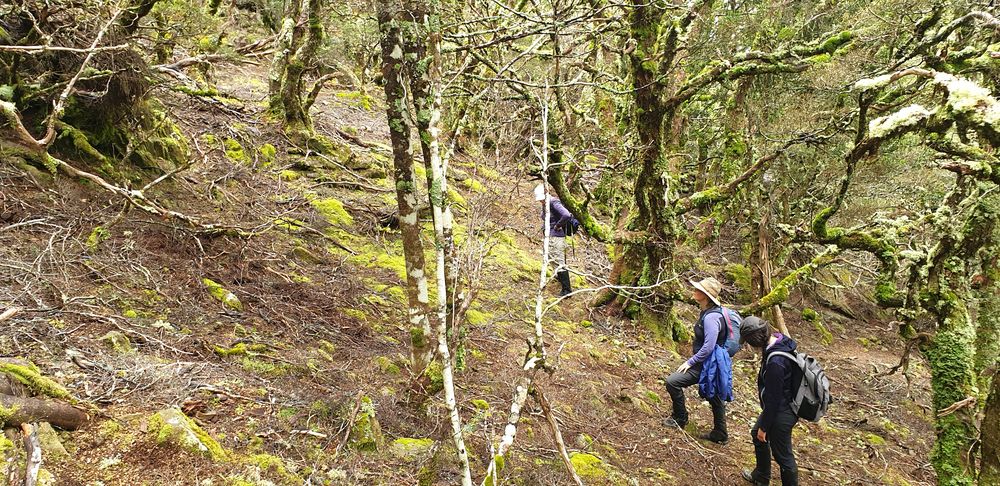 Waiting for the pathfinders to find the way forward Waiting for the pathfinders to find the way forward