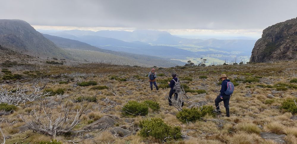 Almost at Parsons Track trailhead with Mt Roland and Gog Range in background Almost at Parsons Track trailhead, with Mt Roland and Gog Range in background